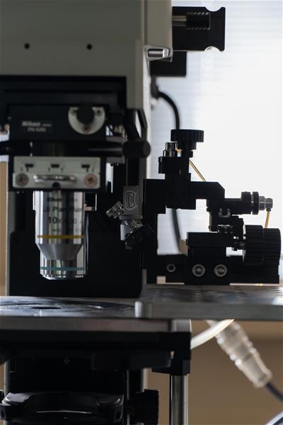 App Benefits Placeholder